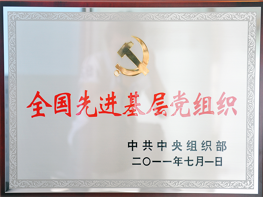 2011年7月，中共湖北尊龙凯时-人生就是博集团委员会被中共中央组织部授予“全国先进基层党组织”