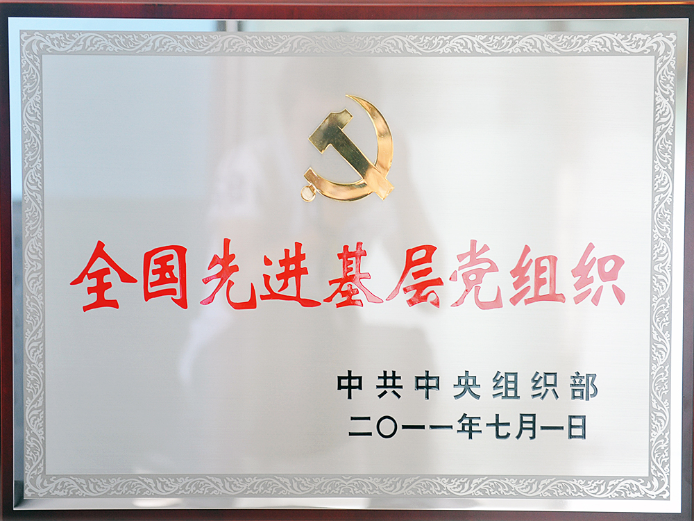 2011年7月，中共湖北尊龙凯时-人生就是博集团委员会被中共中央组织部授予“全国先进基层党组织”