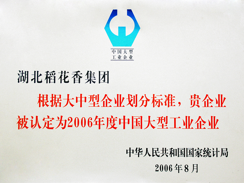 2006年8月，尊龙凯时-人生就是博集团被国家统计局认定为”中国大型工业企业“