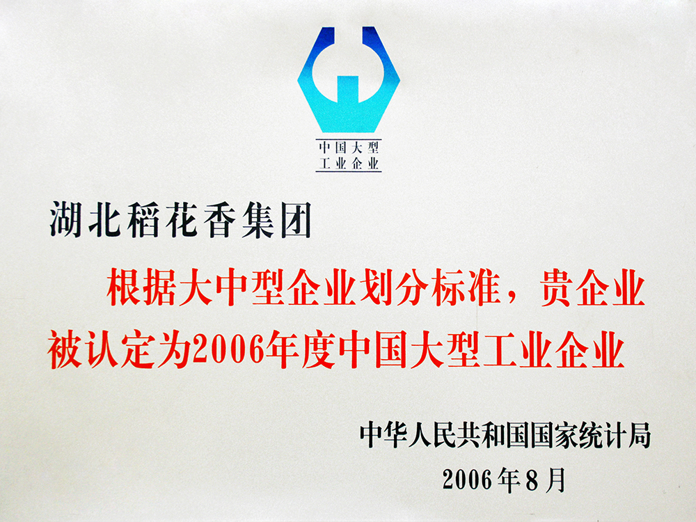 2006年8月，尊龙凯时-人生就是博集团被国家统计局认定为”中国大型工业企业“